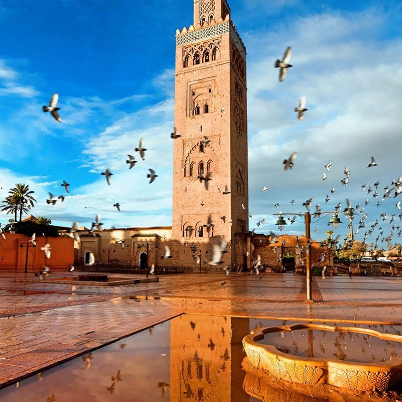 Casablanca, Fes, Rabat, Marrakech, Zagora, Erfoud & Ouarzazate