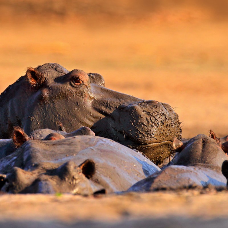 Botswana