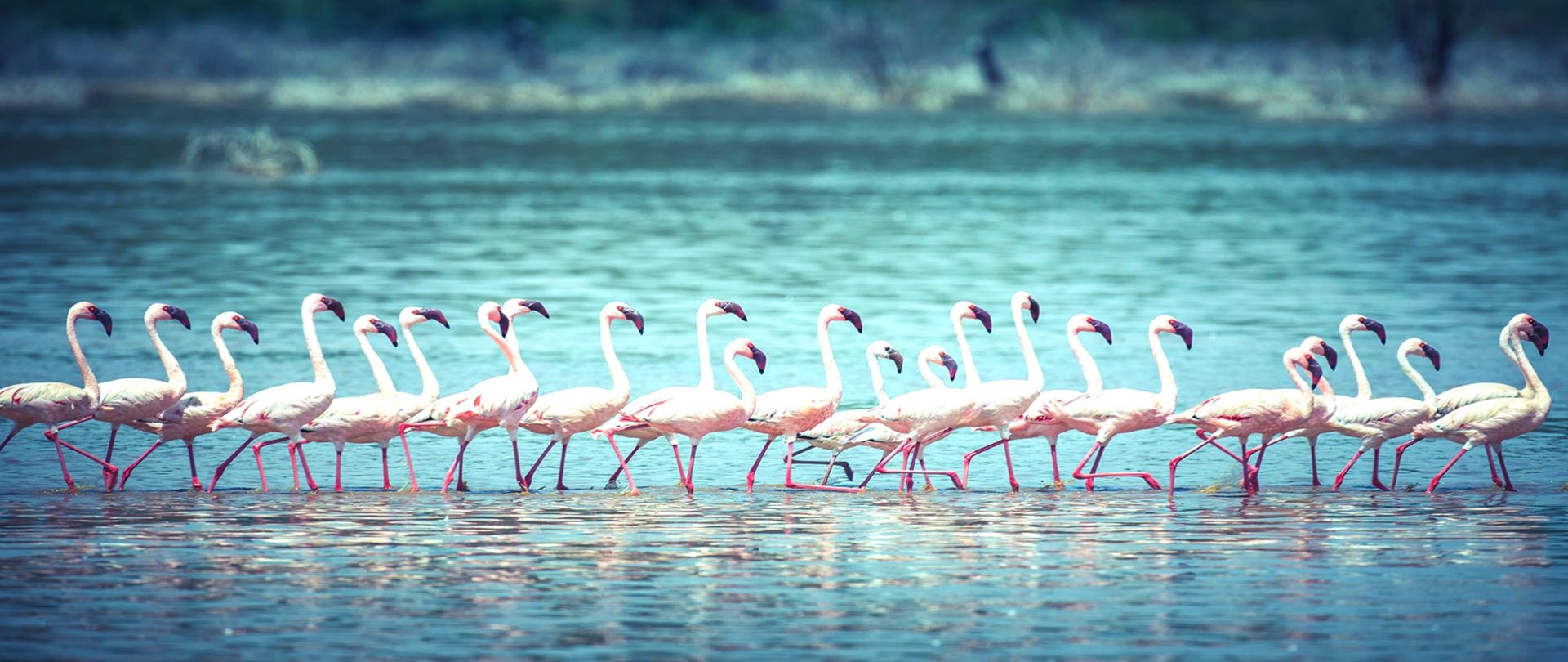 O Kenya trás consigo aventuras jamais vistas.