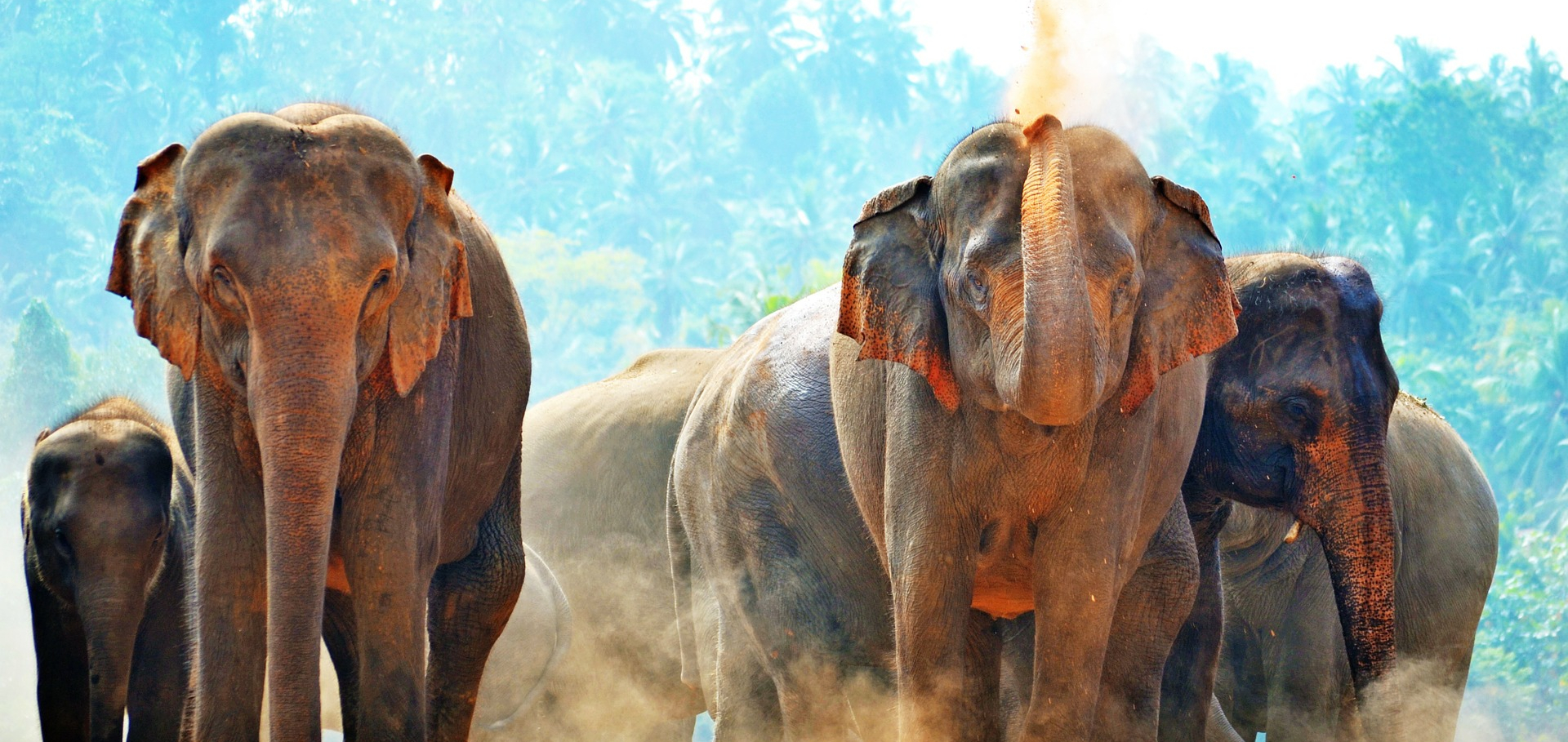 Sri Lanka