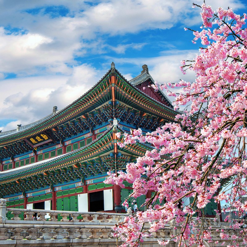 Taipei, Yehliu Geopark, Jiufen, Sun Moon Lake, Tainan, Kaohsiung, Busan, Hadong, Ilha de Jeju & Seul.