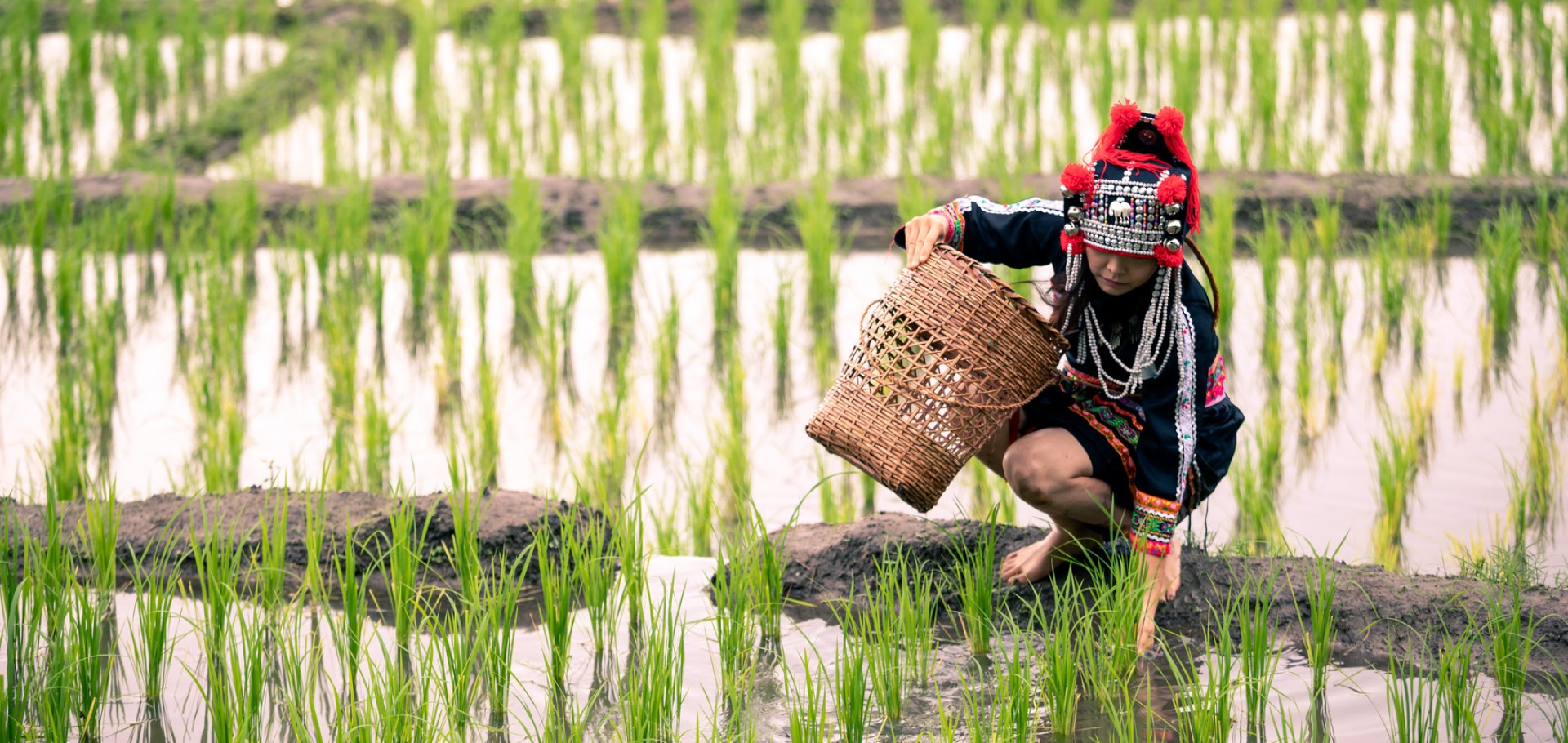 Bangkok, Nakhon Ratchasima, Khon Kaen, Vientiane, Luang Prabang, Pakbeng, Chiang Rai & Chiang Mai
