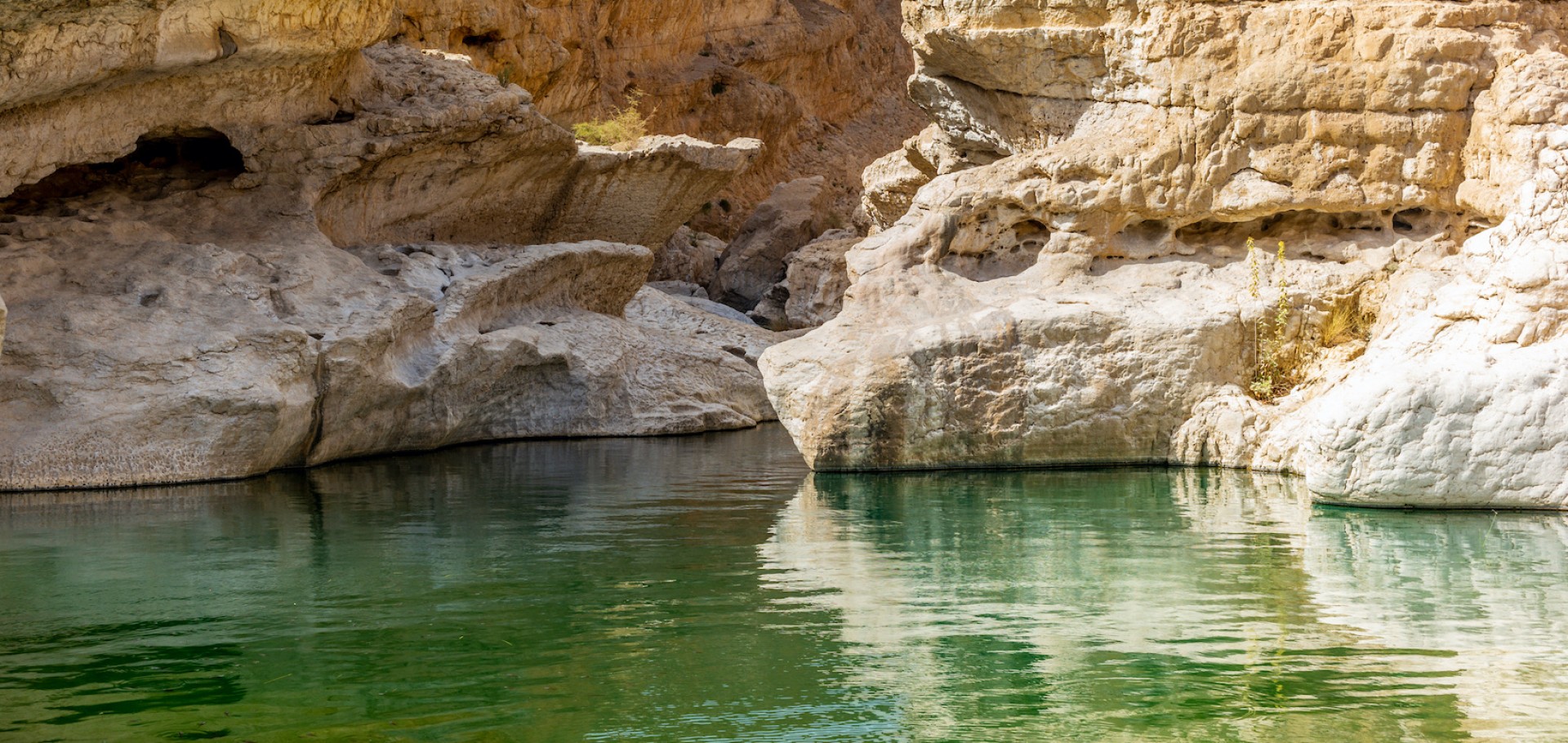 Muscat, Ras Al Hadd, Wahiba, Nizwa & Dubai