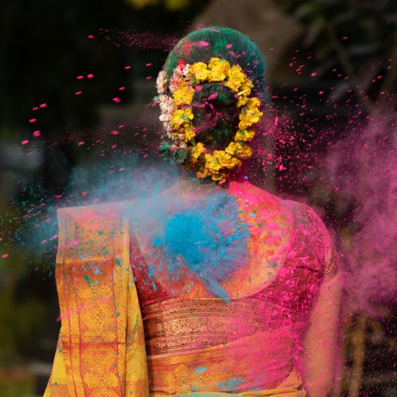 Festival Holi & Safári dos Tigres de Bengala em Ranthambore - Com Guia Acompanhante Brasileiro