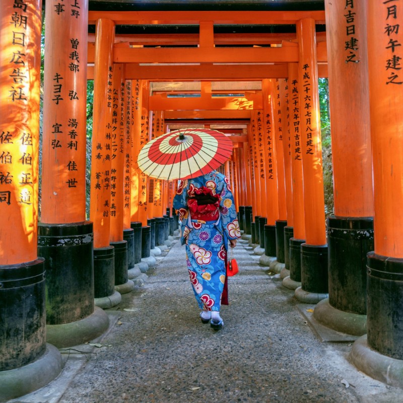 Tokyo, Hakone, Kyoto, Nara, Kanazawa, Shirakawago, Takayama, Gero, Nagoya & Osaka