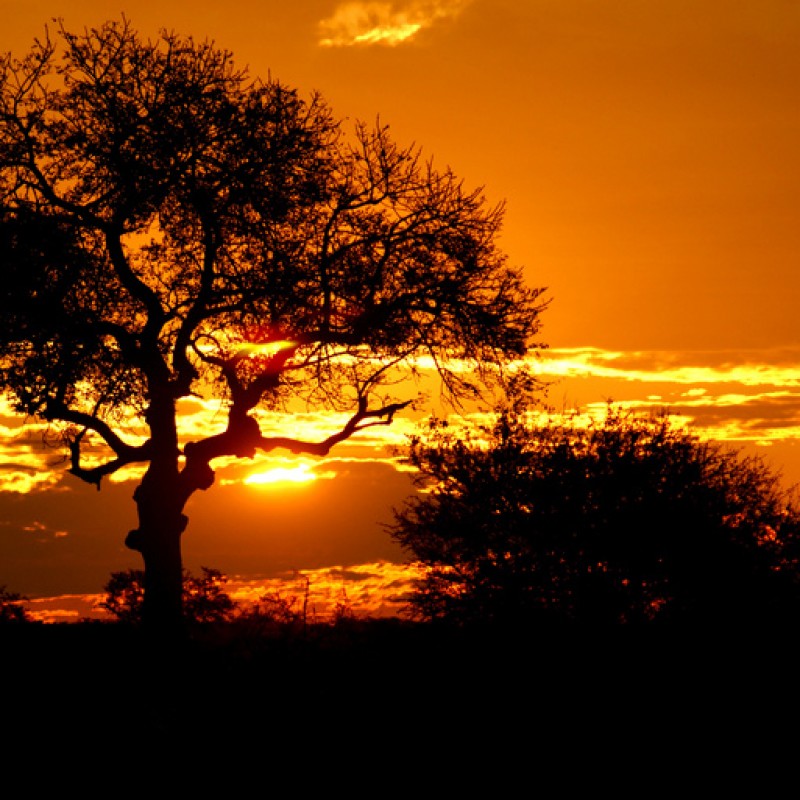 Oudtshoorn, Knysna, Tsitsikamma, Johannesburg & Mpumalanga      
