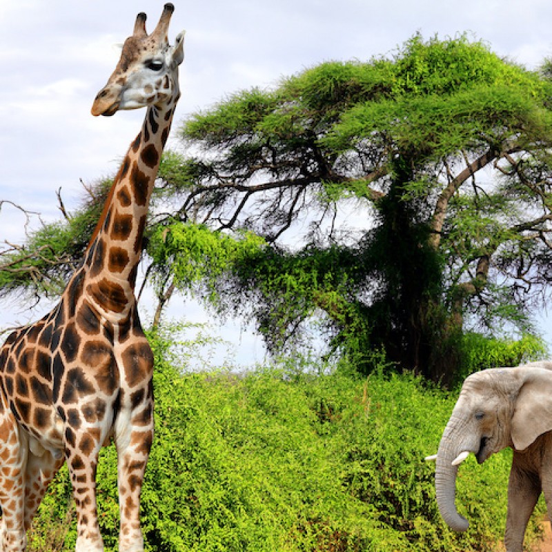 Johannesburg, Kruger Park & Cape Town Johannesburg, Kruger Park & Cape Town