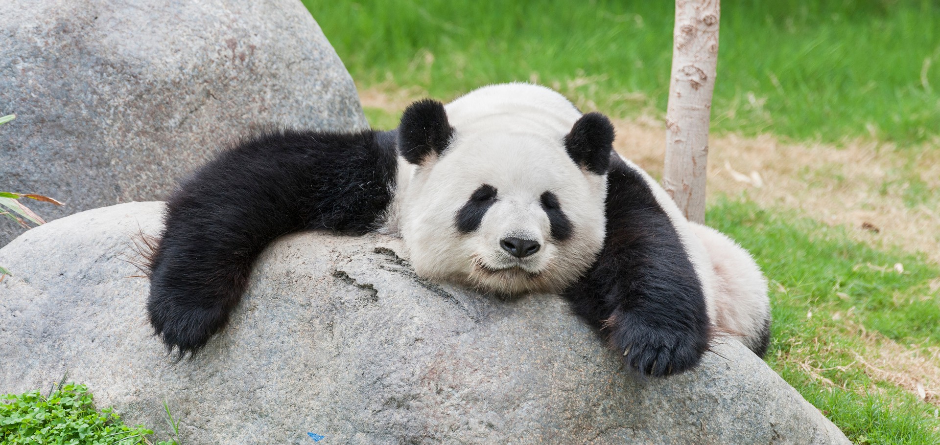 Beijing, Xian, Chengdu, Chongqing, Zhangjiajie, Wulingyuan & Shanghai