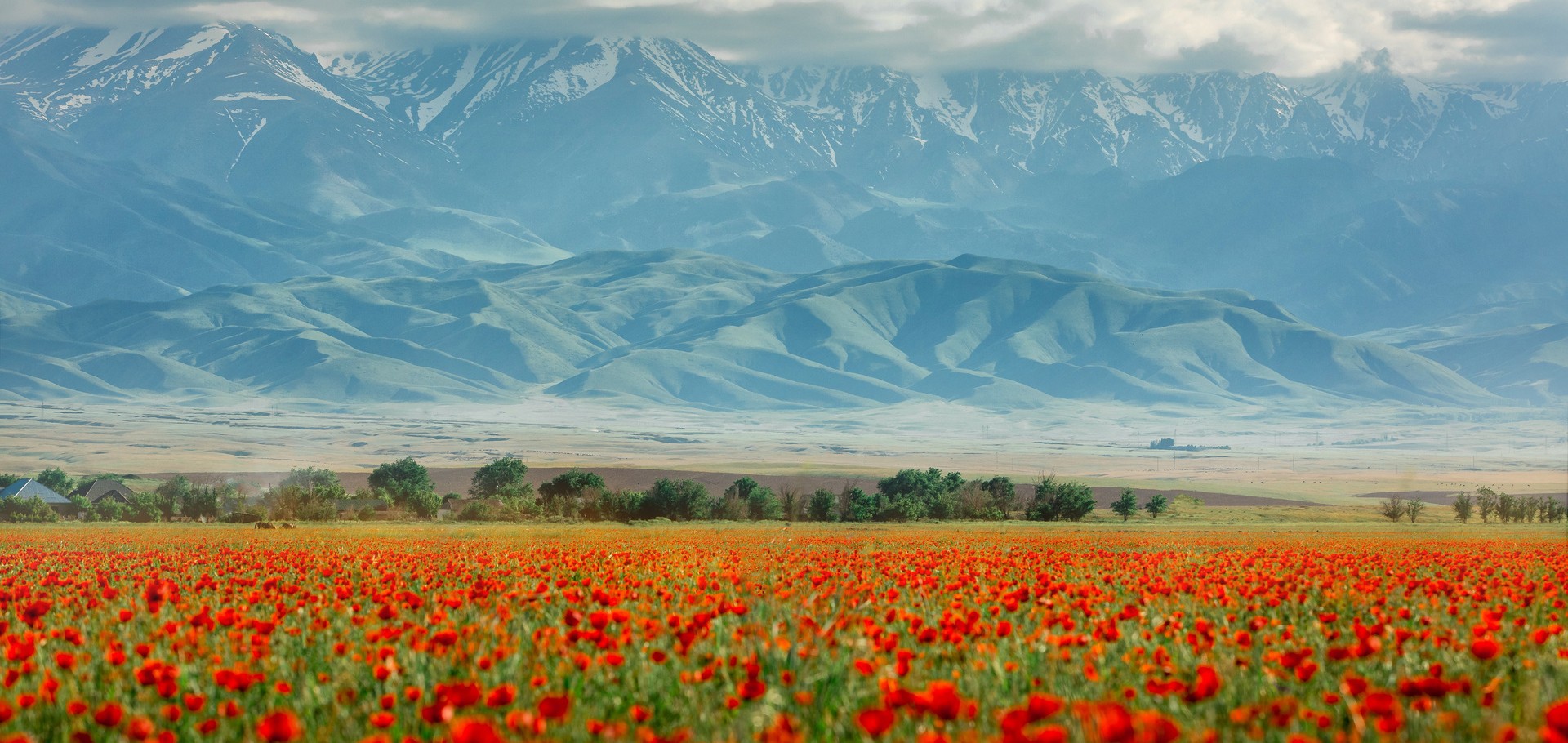 Astana & Almaty                                                      