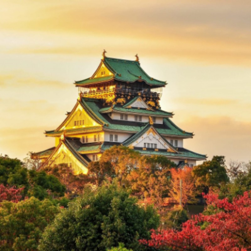 Seul, Tóquio, Hakone, Quioto, Nara, Kanazawa, Shirakawago, Takayama, Gero/Gifu, Nagoya e Osaka