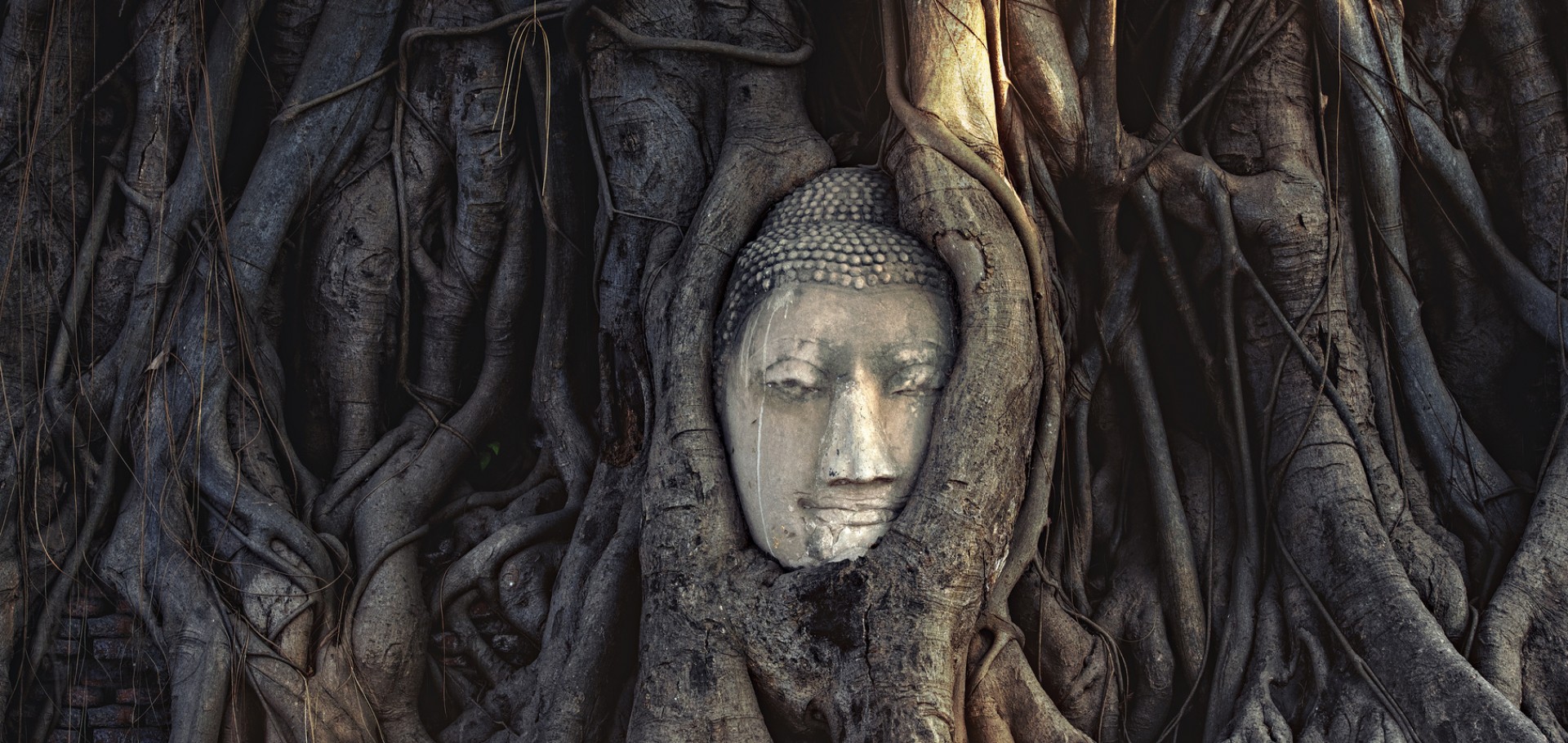 Bangkok, Ayutthaya, Ang Thong, Phitsanulok, Sukhothai & Chiang Mai 