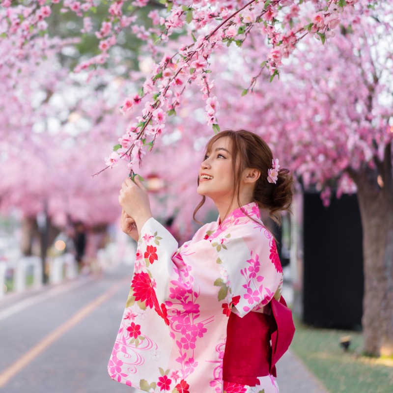 Tokyo, Kyoto, Kanazawa, Gero & Osaka