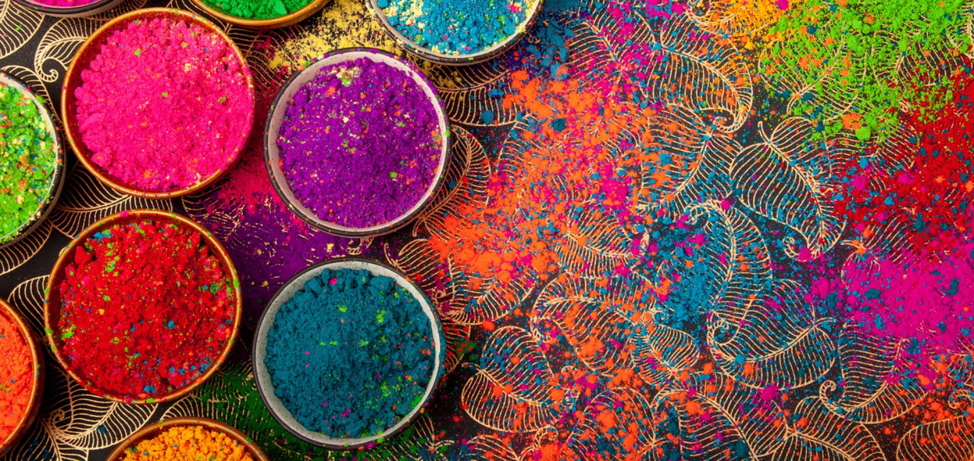 Festival Holi & Safári dos Tigres de Bengala em Ranthambore - Com Guia Acompanhante Brasileiro