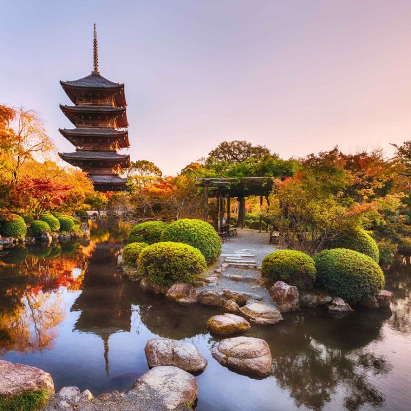 Tokyo, Hakone, Nara & Kyoto