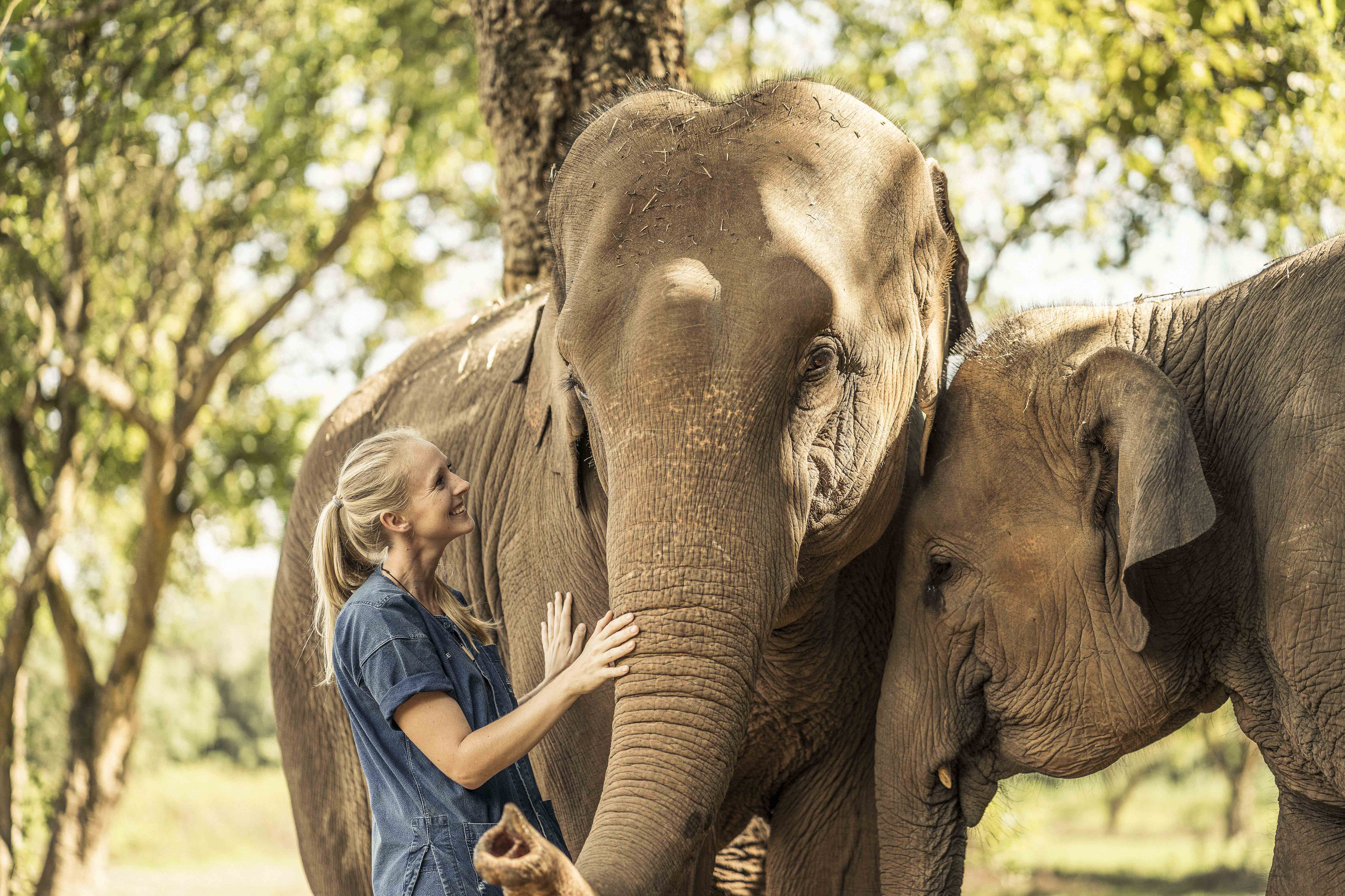 Golden Triangle Elephant Camp & Resort