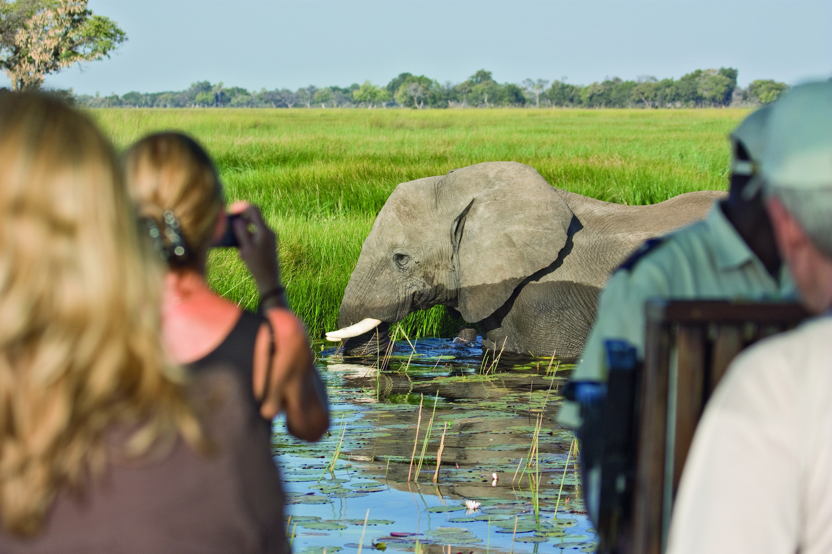 Belmond Eagle Island Lodge