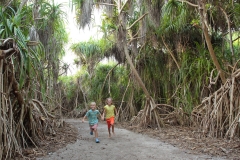 Culture Local - Islands Medhufaru