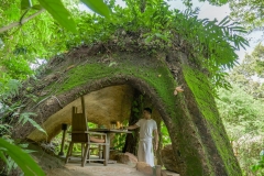 Mushroom Cave Dining