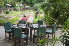 Vegetable Garden dining in the garden